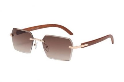 MODELO FR2200 BROWN (Gafas de Sol)